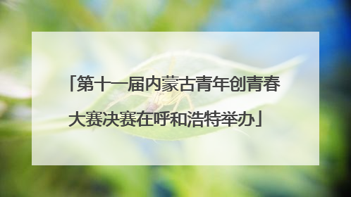 第十一届内蒙古青年创青春大赛决赛在呼和浩特举办