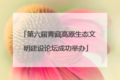 第六届青藏高原生态文明建设论坛成功举办
