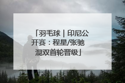 羽毛球｜印尼公开赛：程星/张驰混双首轮晋级