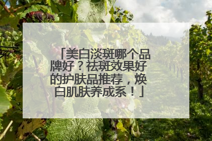 美白淡斑哪个品牌好？祛斑效果好的护肤品推荐，焕白肌肤养成系！