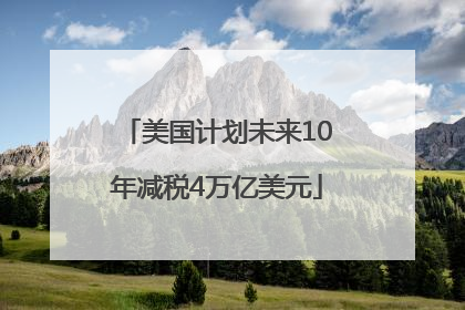 美国计划未来10年减税4万亿美元