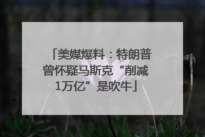 美媒爆料：特朗普曾怀疑马斯克“削减1万亿”是吹牛