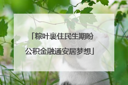 粽叶裹住民生期盼 公积金融通安居梦想
