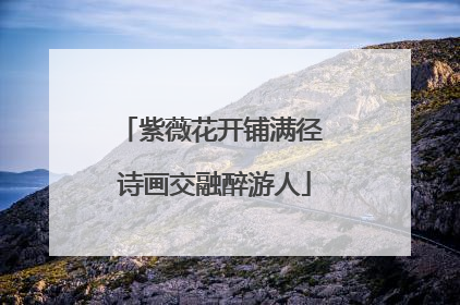 紫薇花开铺满径 诗画交融醉游人