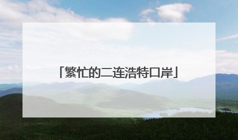 繁忙的二连浩特口岸