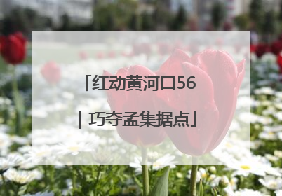 红动黄河口56｜巧夺孟集据点