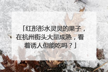 红彤彤水灵灵的果子，在杭州街头大量成熟，看着诱人但能吃吗？