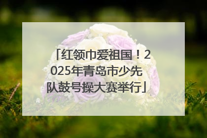 红领巾爱祖国！2025年青岛市少先队鼓号操大赛举行