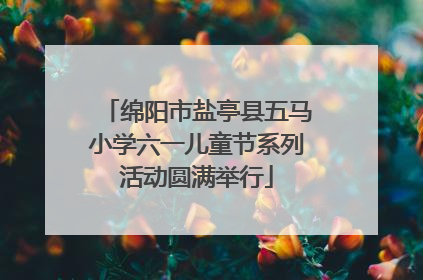 绵阳市盐亭县五马小学六一儿童节系列活动圆满举行