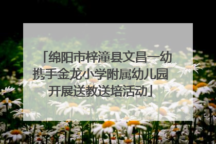 绵阳市梓潼县文昌一幼携手金龙小学附属幼儿园开展送教送培活动