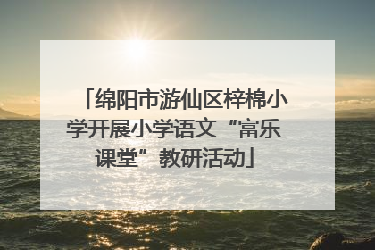绵阳市游仙区梓棉小学开展小学语文“富乐课堂”教研活动