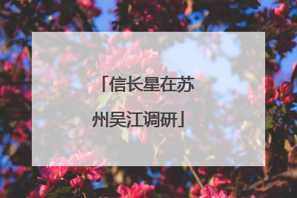 信长星在苏州吴江调研
