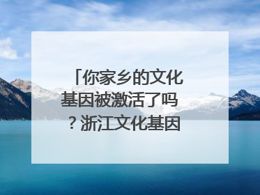 你家乡的文化基因被激活了吗？浙江文化基因图谱即将上线