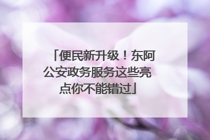 便民新升级！东阿公安政务服务这些亮点你不能错过