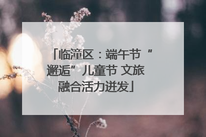 临潼区：端午节“邂逅”儿童节 文旅融合活力迸发