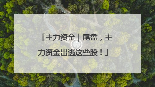 主力资金｜尾盘，主力资金出逃这些股！