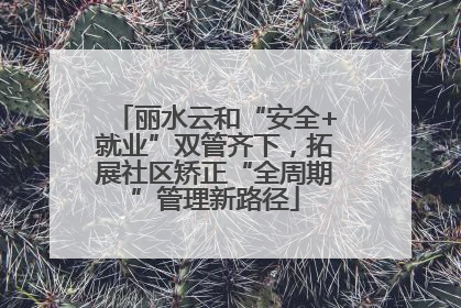 丽水云和“安全+就业”双管齐下，拓展社区矫正“全周期”管理新路径