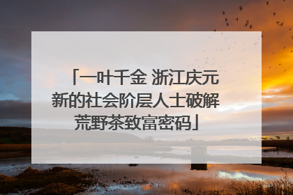 一叶千金 浙江庆元新的社会阶层人士破解荒野茶致富密码