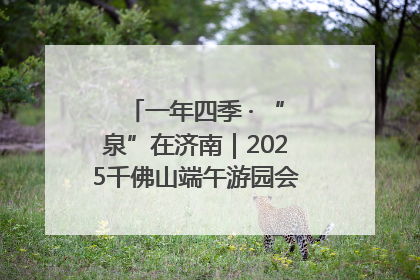 一年四季 · “泉”在济南｜2025千佛山端午游园会邀您共享亲子时光