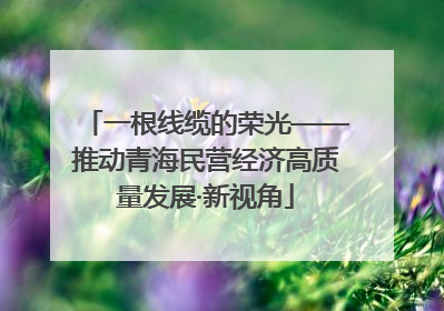一根线缆的荣光——推动青海民营经济高质量发展·新视角