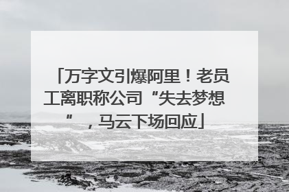 万字文引爆阿里！老员工离职称公司“失去梦想”，马云下场回应