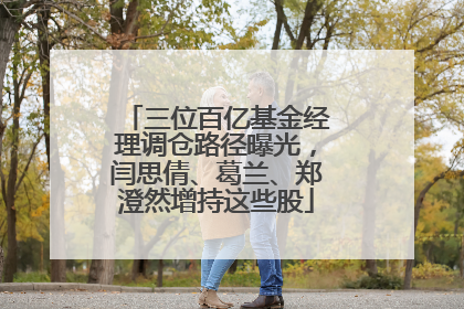三位百亿基金经理调仓路径曝光，闫思倩、葛兰、郑澄然增持这些股
