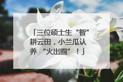 三位硕士生“智” 耕云田，小兰瓜认养 “火出圈”！