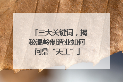 三大关键词，揭秘温岭制造业如何问鼎“天工”