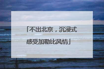 不出北京，沉浸式感受加勒比风情