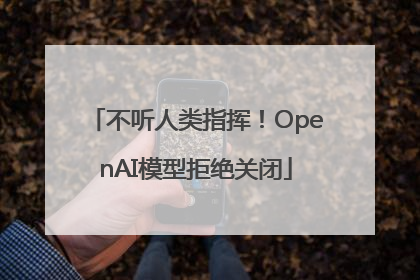 不听人类指挥！OpenAI模型拒绝关闭