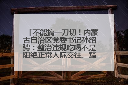 不能搞一刀切！内蒙古自治区党委书记孙绍骋：整治违规吃喝不是阻绝正常人际交往、黯淡人间烟火