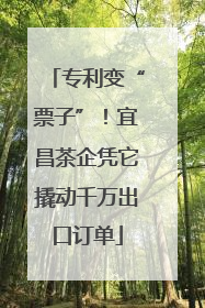 专利变“票子”！宜昌茶企凭它撬动千万出口订单