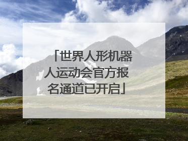 世界人形机器人运动会官方报名通道已开启