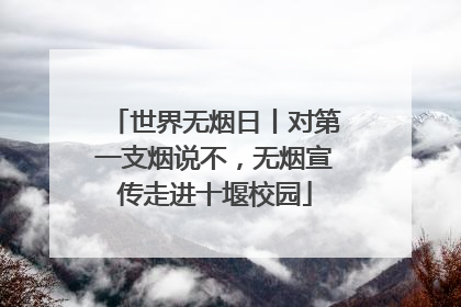 世界无烟日丨对第一支烟说不，无烟宣传走进十堰校园