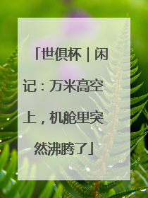 世俱杯｜闲记：万米高空上，机舱里突然沸腾了