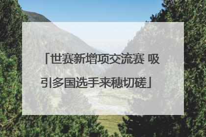 世赛新增项交流赛 吸引多国选手来穗切磋