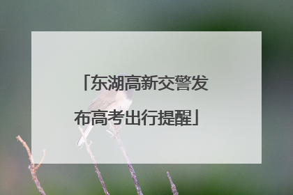 东湖高新交警发布高考出行提醒