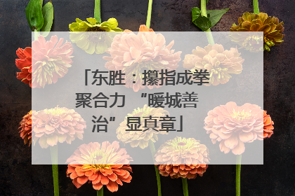 东胜：攥指成拳聚合力 “暖城善治”显真章