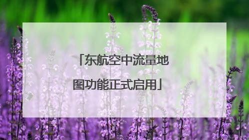 东航空中流量地图功能正式启用
