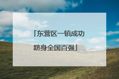 东营区一镇成功跻身全国百强