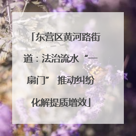 东营区黄河路街道：法治流水“一扇门” 推动纠纷化解提质增效