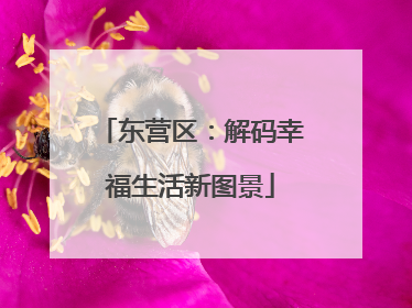 东营区：解码幸福生活新图景