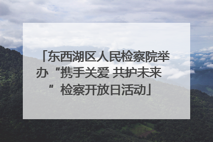 东西湖区人民检察院举办“携手关爱 共护未来”检察开放日活动