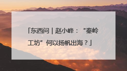 东西问｜赵小峰：“秦岭工坊”何以扬帆出海？