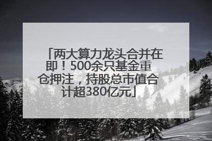 两大算力龙头合并在即！500余只基金重仓押注，持股总市值合计超380亿元