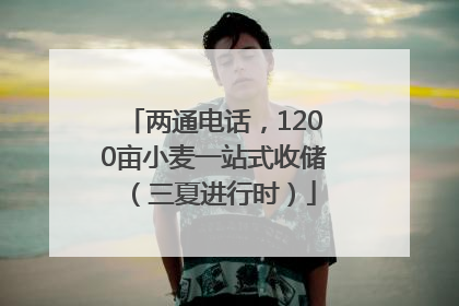 两通电话，1200亩小麦一站式收储（三夏进行时）