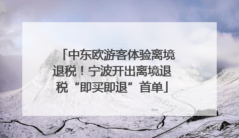中东欧游客体验离境退税！宁波开出离境退税“即买即退”首单