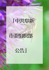 中共阜新市委组织部公告