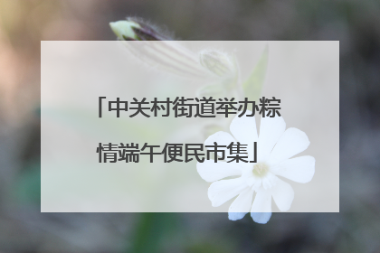 中关村街道举办粽情端午便民市集