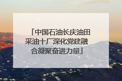 中国石油长庆油田采油十厂深化党建融合凝聚奋进力量